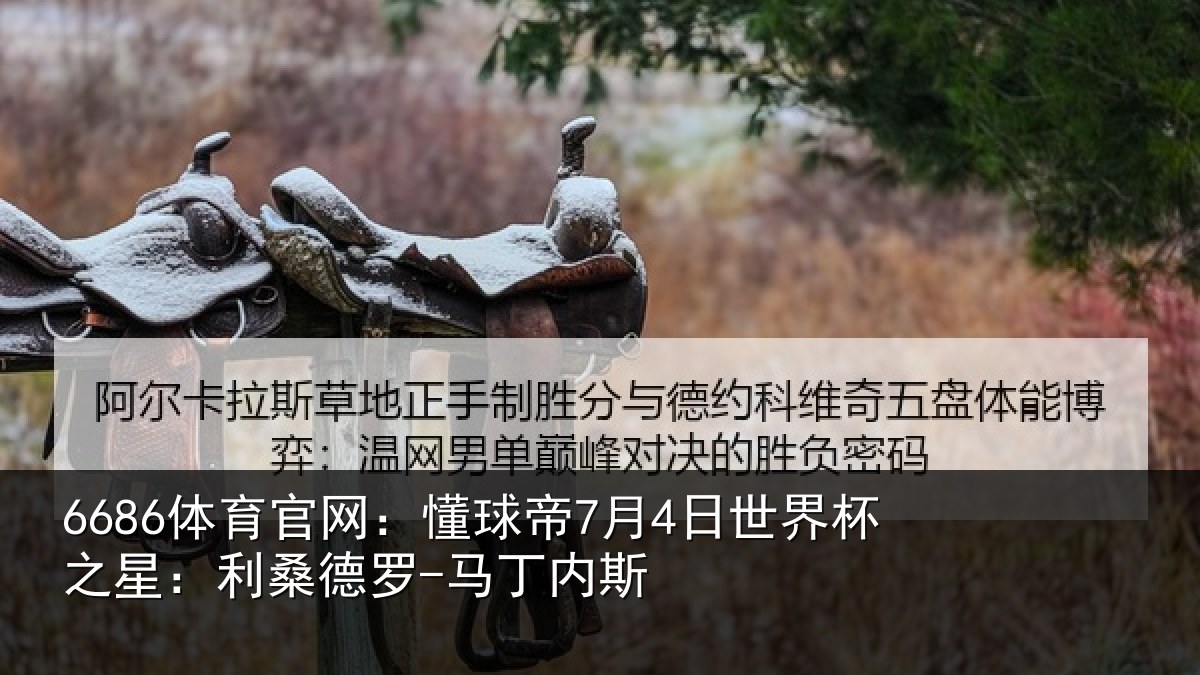 6686体育官网：懂球相关情况：利桑德罗-马丁内斯